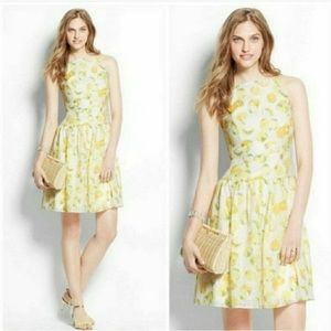 Ann Taylor Lemon Slice Dress